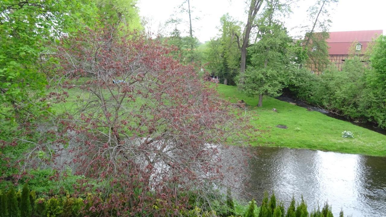 Villa An Der Bode Thale Eksteriør billede